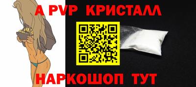 гашик Малгобек