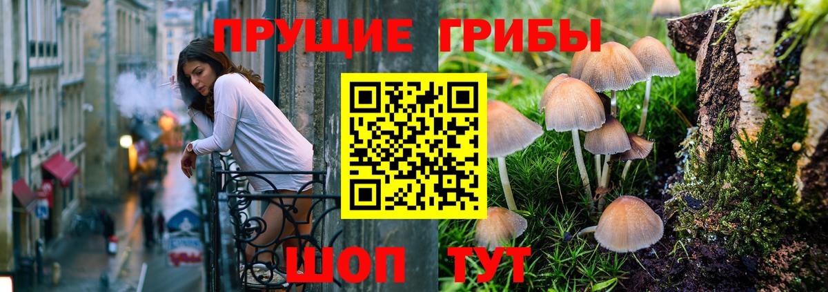 Гуково  Галлюциногенные грибы ЛСД  Вход с VPN 
